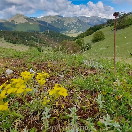 Monolocale Palace * Pescasseroli