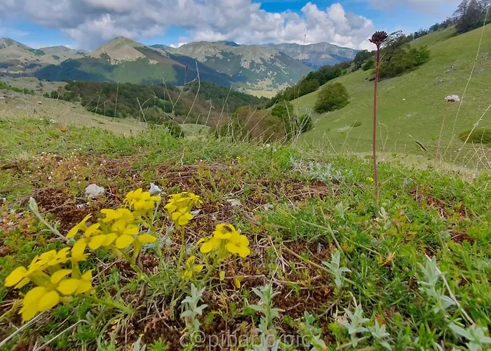 Monolocale Palace * Пескассероли